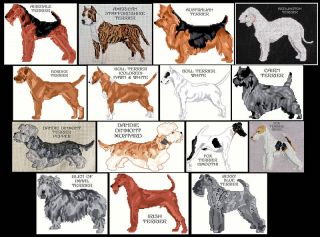 Terrier A K Counted Cross Stitch Patterns
