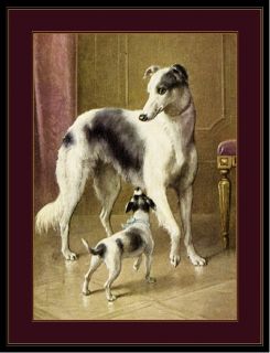 English Print Borzoi Dog Jack Russell Art Picture