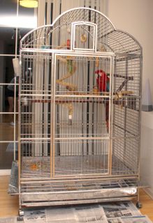 Large Bird Cage Macaw Medical Grade Stainless Steel Truly Amazing