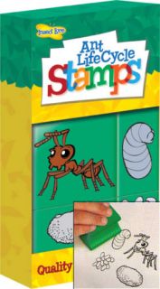 Ant Life Cycle Stamps for Kids Learn About Bugs Life