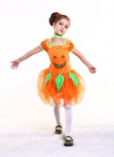 New Light Up Pumpkin Fairy Girl Kids Child Halloween Costume Set Small