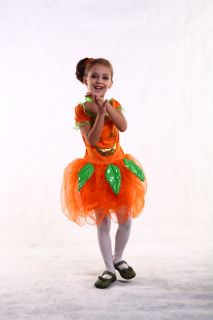 New Light Up Pumpkin Fairy Girl Kid Child Halloween Costume Set Large