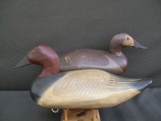 Madison Mitchell Canvasback Pair Vintage Wooden Duck Decoy