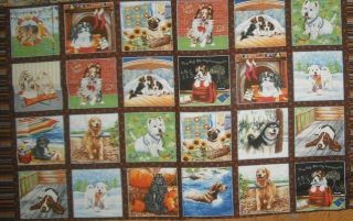 Yards Marcus A Dogs Life Panel Quilt Fabric 20 Dog Blocks