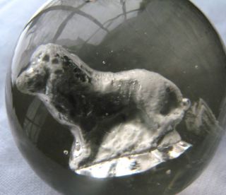 Sulfide Marble 1 3 4 with Lion