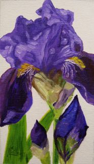 Flower Purple Iris Original Oil Painting K Mccollough
