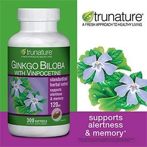  Ginko Gingko 120mg Brain Memory Herbal 300 Pill Natural Vitamins
