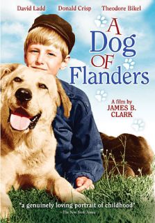Dog of Flanders DVD, 2009