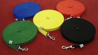 100 ft Long Dog TRAINING Lead LARGE in Various Colours