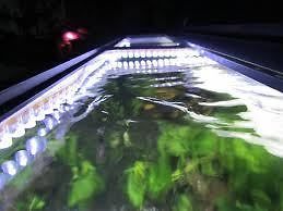 Fish Tank WHITE 6500K Lighting LED Strip 100 Lumens/Ft Salt Water Reef