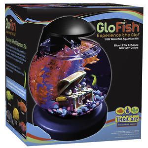 gallon GloFish Waterfall Globe with Blue LEDS Desktop Aquarium Kit