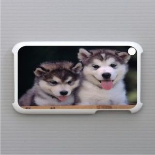 New Alaskan Malamute Puppies Hard Case Cover For Apple iPhone 3G 3GS