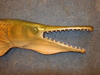 Chainsaw Carving Alligator Gar Carved Gar Fish Gator Spotted Longnose
