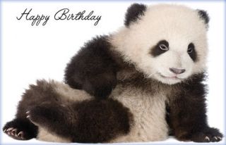Vanishing Planet Baby Giant Panda Photo Happy Birthday Greeting Card