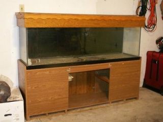 125 gallon fish tank in Aquarium & Fish