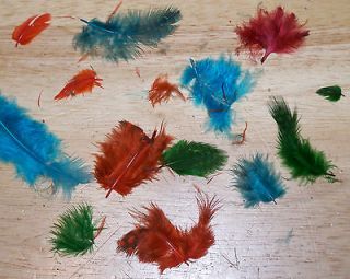 Vintage Lot of 14 Feathers For Fly Tying Fly Rod Fishing Lure Making