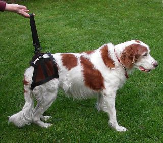 Rear Dog Harness / Lifting Aid (Small / Intermediate / Medium / Large