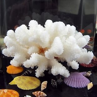 white Coral tank aquarium decoration, sea coral ornament, 12 15cm