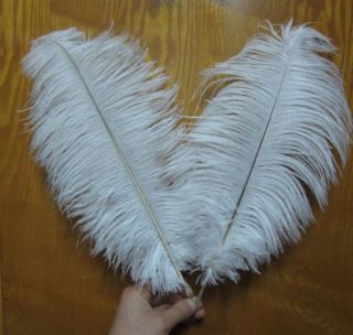 NEW for wedding 6 18Black/Whi​te colors 50PCS OSTRICH FEATHERS Pick