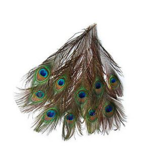 Feather For Masquerade Decoration Party Dress Accessory DIY 10 Peacock
