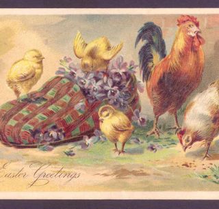 EASTER CHICKENS PLAY IN OLD HOUSE SLIPPER,SHOE,VIOLETS,ROOSTER,VINTAGE