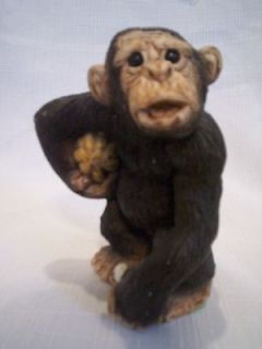 monkey holding banana