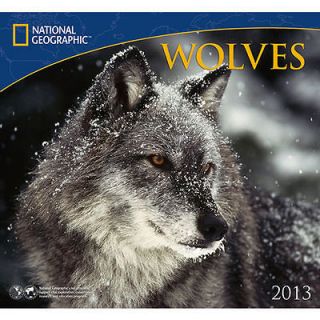 Wolves National Geographic 2013 Wall Calendar