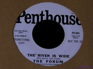 The Forum   The River Is Wide  RARE 1966 Penthouse Promo 45