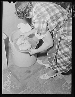 Mrs. Sauer getting sauerkraut out of crock. Cavalier County,North