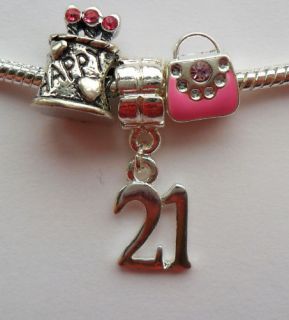 Number Bead Charm Set Cake Pink Enamel Bag Gift Idea Fits Bracelet