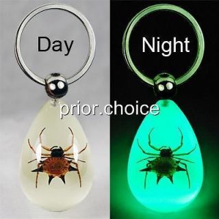 SPIDER GLOW LUCITE KEYRING KEYCHAIN INSECT JEWELRY TAXIDERMY GIFT