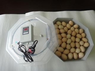 EGG INCUBATOR Egg Candler POULTRY CHICKEN BIRD REPTILE QUAIL