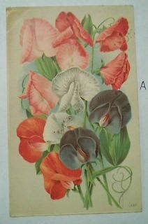 Flower Card Ben Franklin Scott Stamp 1900s MUST SEE from lot OH