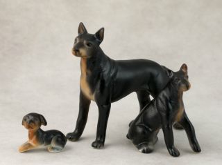 Vintage Miniature Bone China Set 3 Doberman Pinscher Dog Figurines