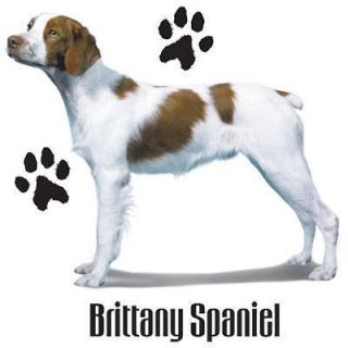 Brittany Spaniel Puppy Dog With Paw Prints White T Shirt   $9.95