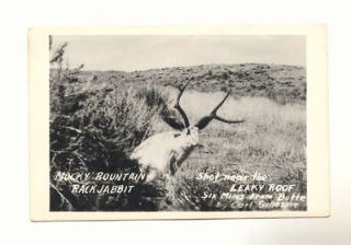 ROUNTAIN RACK JABBIT LEAKY ROOF Butte Montana Vintage RPPC Postcard