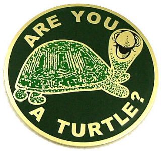 Are You A Turtle? Etched Round Car Emblem [2 3/4   Gold/Green
