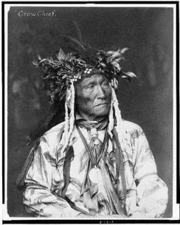 Crow chief,tribal,I ndians,Native American,North ,clothing,head dress