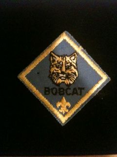 Boy Eagle CUB 2 BOBCAT RANK Scout Vintage Patch & Pin Insignia Award