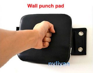 Straight Punch Wall Focus Target Punch Pad WING CHUN EXPLOSIVE FORCE