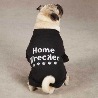 ATTITUDE TEES FOR DOGS   Home Wrecker Dog T Shirts    in