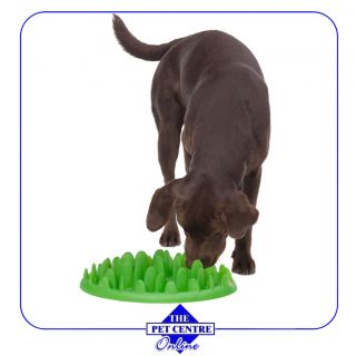 Green by Northmate   Interactive Dog Feeding Station
