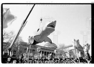 1988 35mm Negs Shark model from Jaws at Museum SI  67