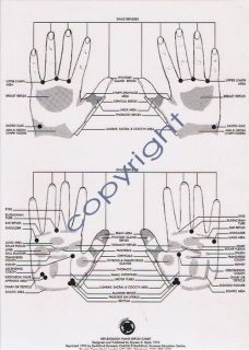DOREEN BAYLY REFLEXOLOGY HAND REFLEX CHART  laminatedNEW