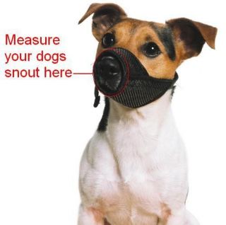 dog muzzle size 0