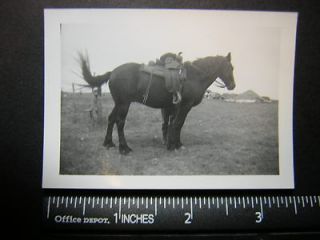 01613 cowgirl stands behind horse, can only c face looking thru saddle