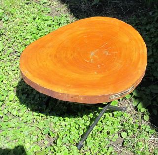 Mid Century Modern Lafayette Elm Wood & Metal Table With Sterling