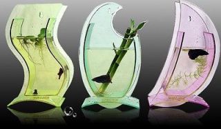 Acrylic Design Interior Mini Fishbowl Aquarium 3 type vase wall