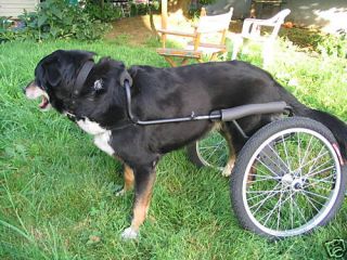 Dwanecart Dog Wheelchair Medium to Large
