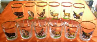 Wildlife Animals Bear Deer Elk Quail Turkey Drinking Beverage Glasses